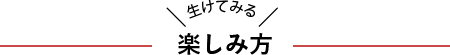 生けてみる！楽しみ方