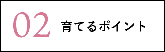 オススメのバラ