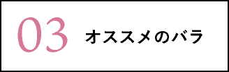 オススメのバラ