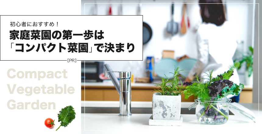 初心者におすすめ！家庭菜園の第一歩は「コンパクト菜園」で決まり